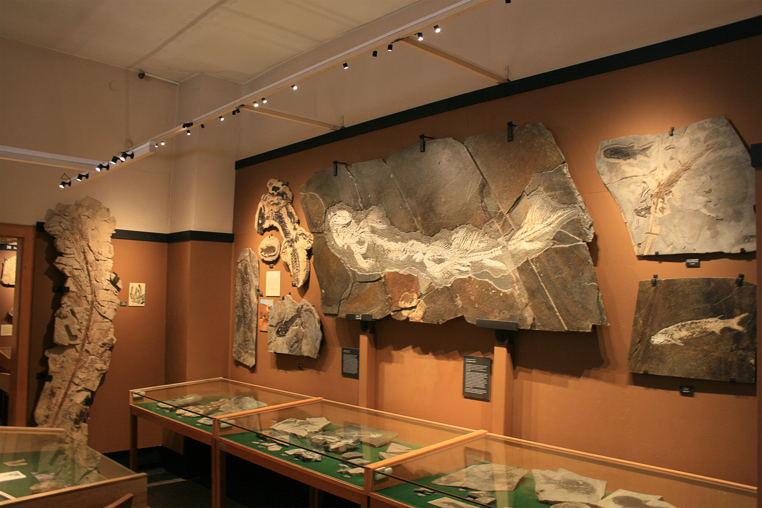 Paläontologisches Museum Nierstein